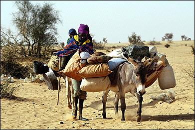 newly_arrived_refugees_family_from_darfur_acrosses_into_chad.jpg