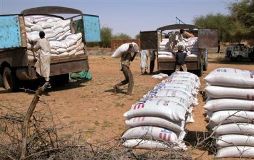 workers_carry_packages_of_wheat_from_USAID.jpg