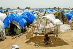 A_displaced_Sudanese_girl_.jpg