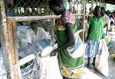 Food_distribution_at_Kenya_s_Kakuma_camp.jpg