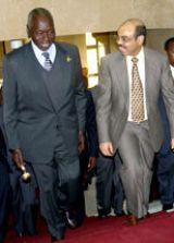 Meles_Moi.jpg