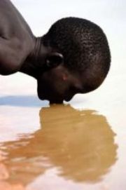 S._Sudanese_drinks-2.jpg