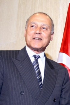 Egypt Foreign Minister Ahmed Abul Gheit (AFP)