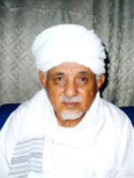 Ali Mahmoud Hassanein