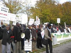 Darfur Deminstrators at the Hague October 31, 2008*