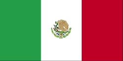 large_flag_of_mexico.jpg