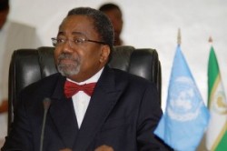 Rodolphe Adada, African Union-United Nations Joint Special Representative for Darfur (AFP)