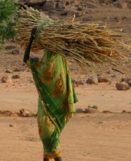 Woman returning with firewood to Farchana refugee camp, Chad (photo PHR - Dr. Lin Piwowarczyk)