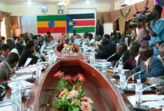 Opening of the 2nd Consultative Meeting of Adjacent States in Juba of Ethiopian-South Sudan committee, on July 22, 2009 (Photo GOSS Ministry of Regional Cooperation)