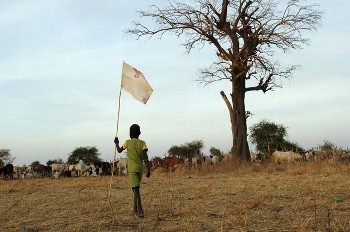 A Dinka boy carries a flag as he herds his cattle at a camp in Abyei, Southern Sudan in this picture released by the United Nations Mission in Sudan (UNMIS) on March 13, 2009 (Reuters)