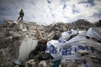 A member of an Israeli rescue team and a dog search through a pile of dead bodies for survivors at the GOC university on January 19, 2010 in Port-au-Prince, Haiti (Getty Images)
