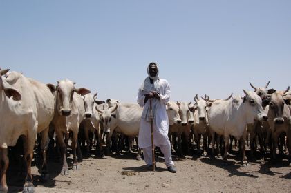 A Rezeigat Cattle-keeper in Northern Bahr el Ghazal (file photo by UNEP)