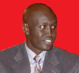 Mayik Ayii Deng, appointed by the Darfur rebel Ahmed Abdel Shafi as Advisor to the SLM/A for External Affairs