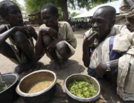 An IDP SSouthern Sudanese eats tree leaves during the visit of U.N Under-Secretary General for Humanitarian Affairs John Holmes in Akobo town in south Sudan's Jonglei state May 8, 2009. (Reuters)