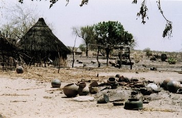 Picture taken in April 2004 shows the village of Terbeba after being burnt by the pro-Sudanese government 'Janjaweed' militias in the western Darfur region of Sudan (AFP)