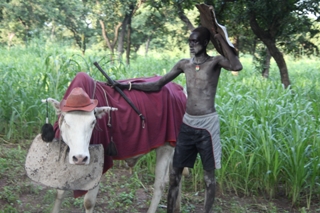 Rumbek cattle keeper remote cattle camp in 2010 (ST)