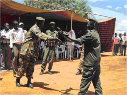 FILE - DDR event in Eastern Equatoria, Sudan (UNMIS)