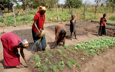 Women farming in Nuktamanga, Lakes state, South Sudan. (Photo: Alun McDonald - Oxfam)