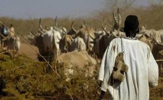 Dinka herder, Warrap state (AFP)