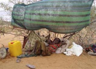 Drought victim, Ethiopia, July 2011 (Reuters)