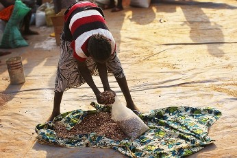 A woman scoops up dried beans at a food distribution point for internally displaced south Sudanese by the World Food Program January 17, 2011 in the town of Yambio, south Sudan (AFP)
