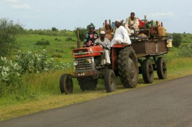 Internally displaced people flee on a tractor at a rural area after fighting broke out, near the Blue Nile state capital al-Damazin, September 5, 2011 - (Reuters)