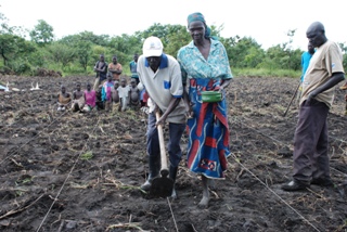 Farmers in Morobo county planting groundnuts in one of the block farms under the FAO-initiated community-based seed project, September 14, 2011 (Photo: FAO/Ogolla.E)