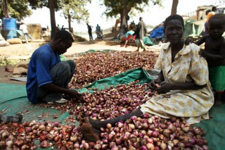 South Sudanese farmers and their produce, January 2011 (Getty)