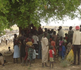 Members of the Luo Nuer gather under the shade of a tree in Ethiopia after fleeing South Sudan's Jonglei state (UNHCR)