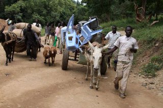 Refugees fleeing Blue Nile, Sudan into Ethiopia (UN)