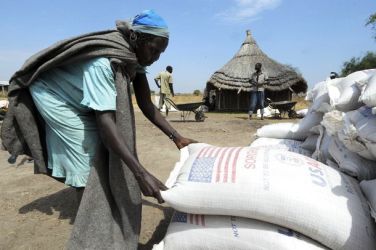 Sacks of food rations are distributed to Internally Displaced People in Pibor County January 12, 2012.  (Reuters)