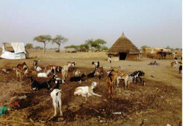 Abyei by OCHA