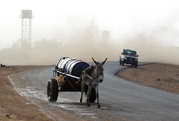 A donkey runs along a road during an air strike by the Sudanese air force in Rubkona near Bentiu April 23, 2012 (Reuters/ Goran Tomasevic)