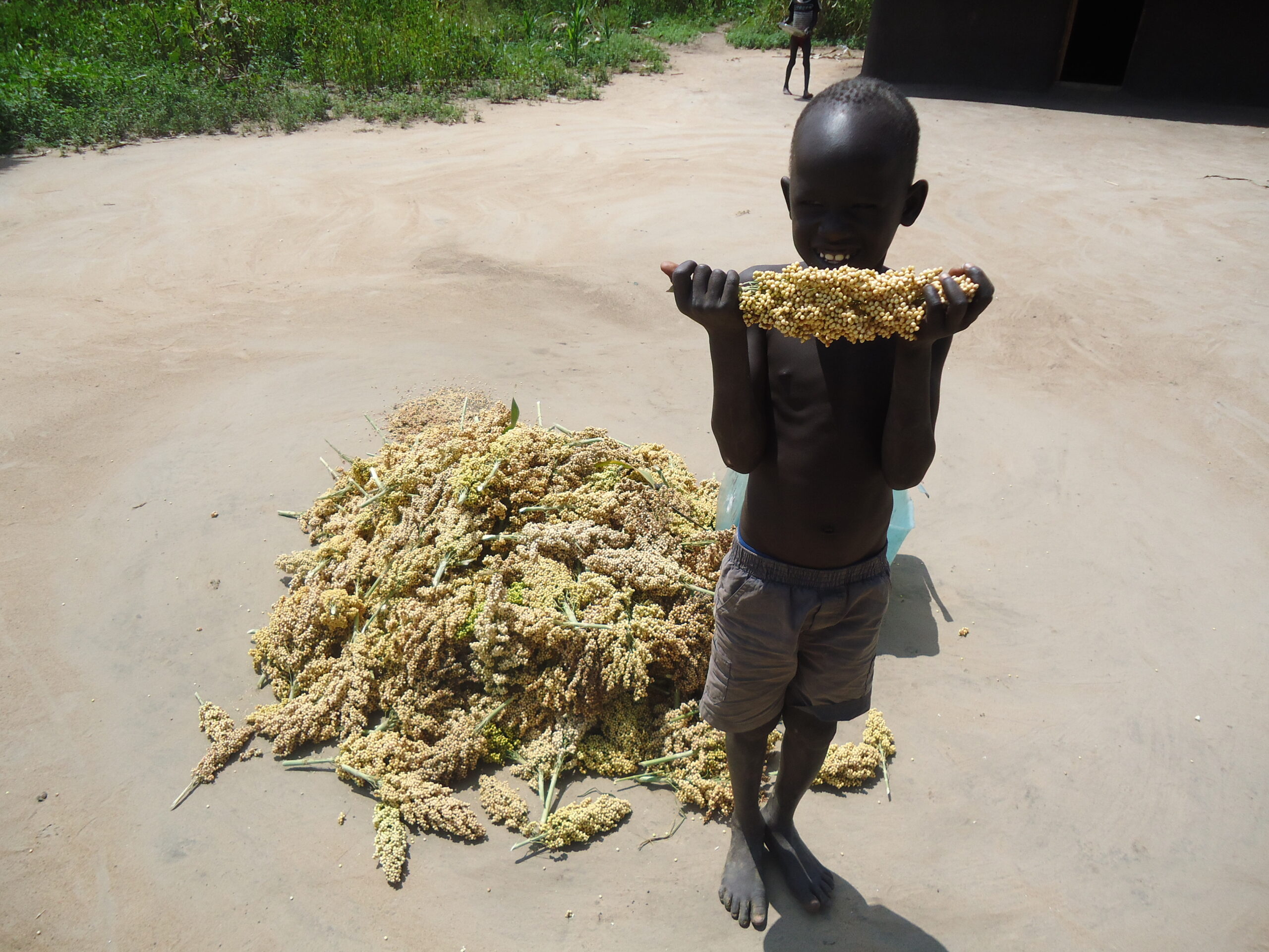 Young boy smiles at the newly harvested sorghum in Kuoingo village, Bor County, Jonglei, South Sudan. September 16, 2011 (ST)