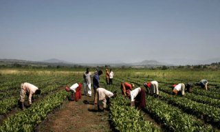 Gambella region of Ethiopia (Getty)