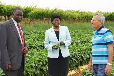Betty Achan Ogwaro, South Sudan’s Minister of Agriculture, Forestry, Cooperatives and Rural Development toured on Monday 14 May some agricultural sites in Israel (Photo Lomayat)