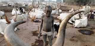 A boy from the cattle herding Mundari tribe smiles early morning in a settlement near Terekeka, Central Equatoria state, south Sudan January 19, 2011 (Reuters)