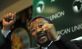 African Union leader, Jean Ping (AFP/Getty)