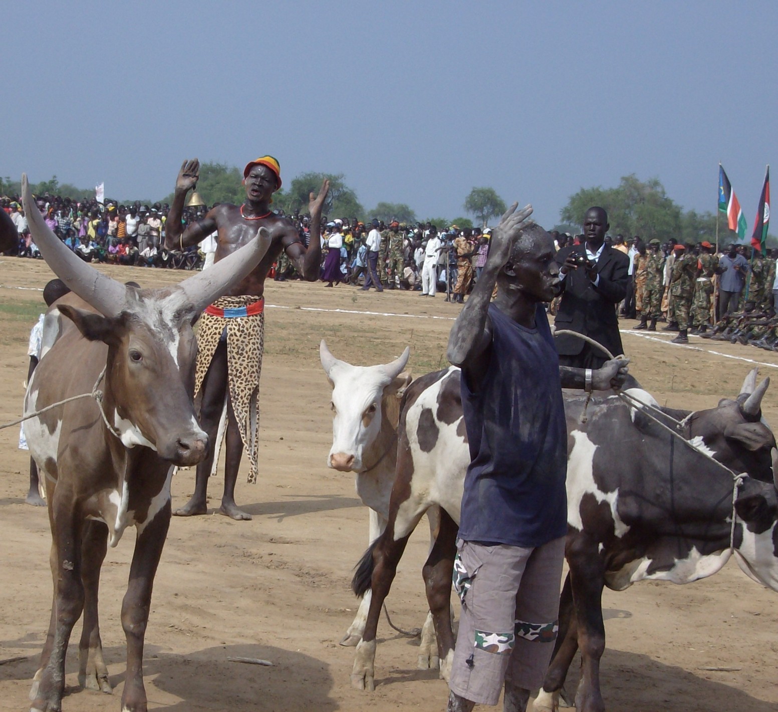Jonglei State cattle keepers display their bulls as part of South Sudan's first Independence Day in Bor, 9 July 2012 (ST)