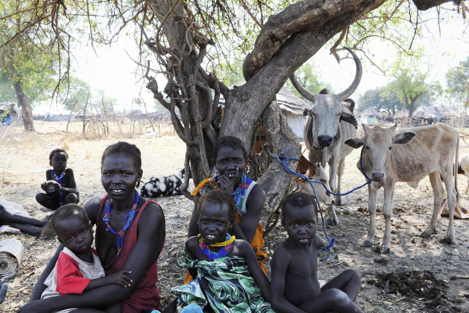Jonglei, South Sudan (UN)