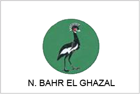 northern_bahr_el_ghazal_flag.jpg