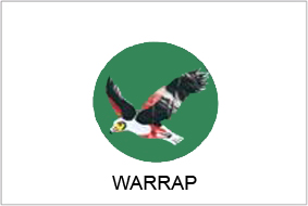 Warrap State flag (GoSS)