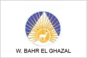 western_bahr_el_ghazal_flag.jpg