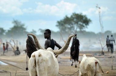 Nuer herdsman, Nyal, South Sudan, November 2011 (Photo Getty)