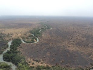 The forest between Pibor and Pochala counties has never had road between them constructed (ST)