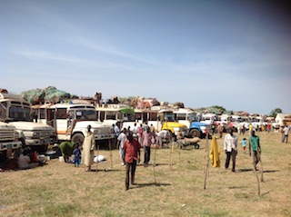 The 52 buses in Rubkotna county which have transported over 2,600 returnees from Kosti in Sudan to South Sudan's Unity state. 8 November 2013 (ST)