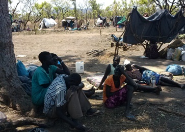 Internally displaced persons from the conflict in South Sudan who are living makeshift structures and under trees in Melijo 19 km South of Nimule on Friday 14 February 2014. (Photo ST)