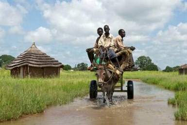 Three boys carry their belongings by cart in South Sudan's Northern Bahr el-Ghazal (Photo: UN/Staton Winter)