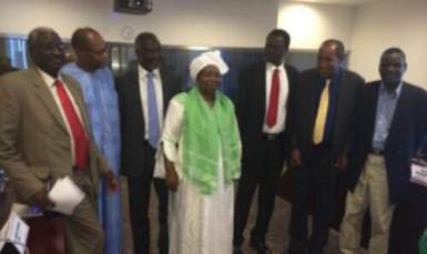 The Chairperson of the African Union Commission, Nkosazana Dlamini-Zuma, (C) pictured with a delegation of Sudanese rebels in Addis Ababa on 7 March 2014 (Photo courtesy of rebel delegation)