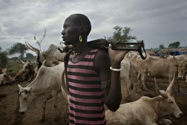 Cattle raiding has been a major source of conflict in South Sudan's Lakes state (Photo: Cedric Gerbehaye/Pulitzer Center)